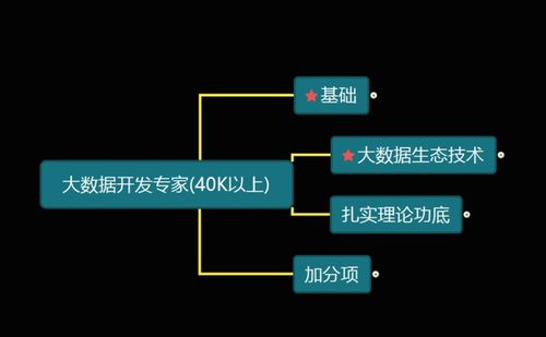 大数据开发工程师必备技能 软实力与硬实力全解析